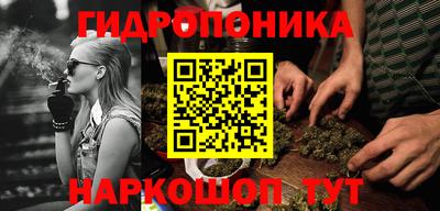 ешки Краснодар