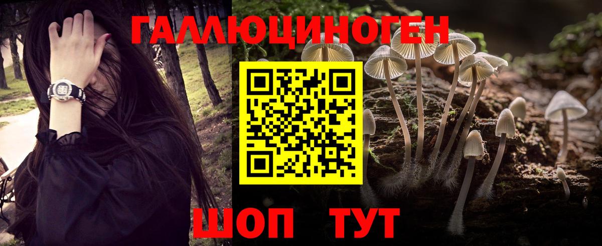 Галлюциногенные грибы MAGIC MUSHROOMS Кашира